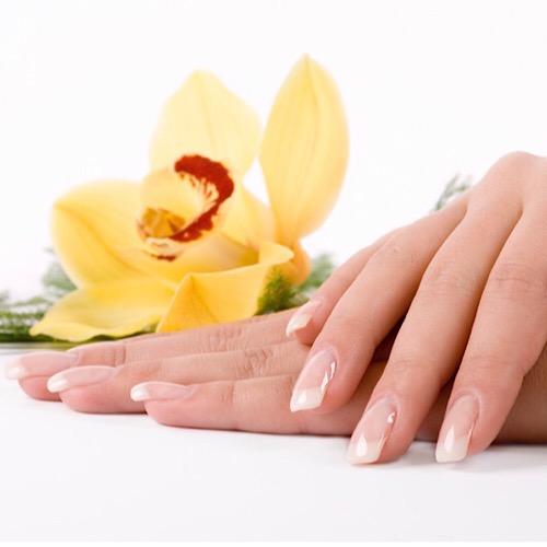 TOP NAILS - Refill & UV gel